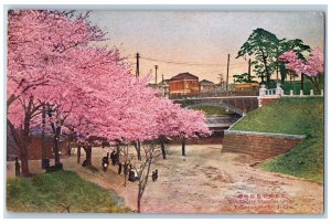 Tokyo Japan Postcard The Cherry Blossom in the Yotsuya-mitsuke 1907