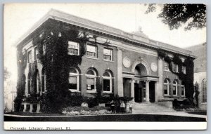 Freeport Illinois~People @ Ivy-Covered Carnegie Library Bldg~Portico Arch~c1910