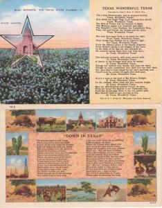 (2 cards) Poems - Wonderful Texas - Down in Texas pm 1942