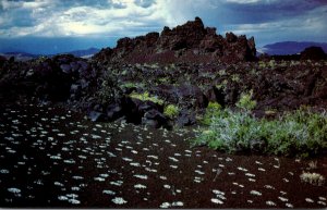 Idaho Craters Of The Moon National Monument The Devil's Orchard