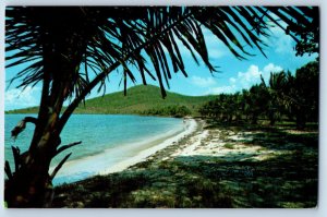 St. Croix US Virgin Islands Postcard Secluded Tropical Beach 1966 Vintage