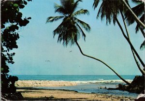 Playa del Caribe Venezuela Postcard PC526