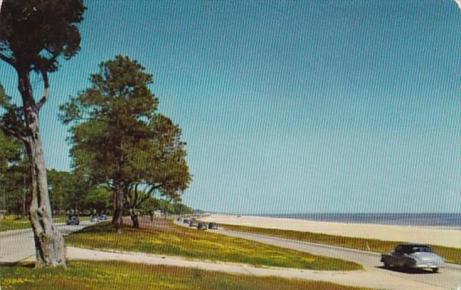 Mississippi Gulf Coast Scene Along U S Highway 90 1954