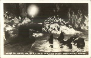 Oregon Coast Highway Sea Lion Cave 1930s Real Photo Postcard