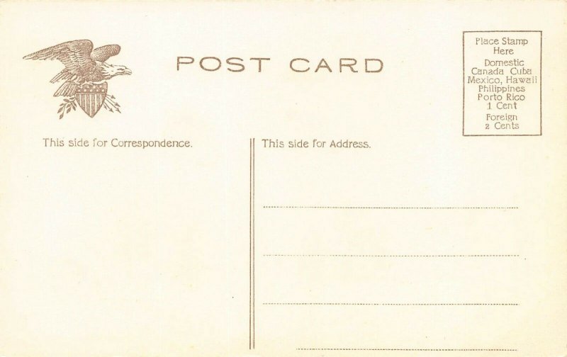 LP56 Baton Rouge  Louisiana Postcard State Capitol