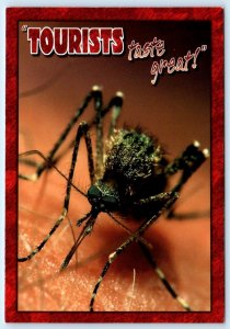 TOURISTS TASTE GREAT Funny MOSQUITO Close Up Humor  4x6 Postcard
