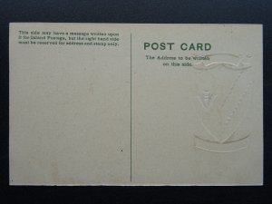 13 x Cambridge University Collection COLLEGES & HERALDIC ARMS c1905 Postcard