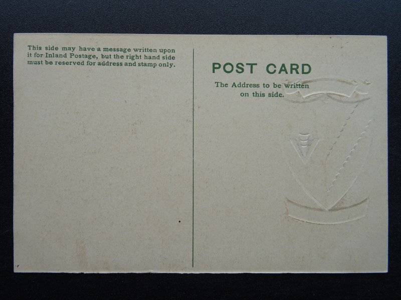 13 x Cambridge University Collection COLLEGES & HERALDIC ARMS c1905 Postcard