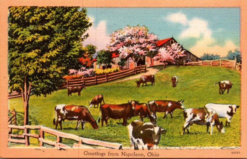 Cows Greetings From Napoleon Ohio