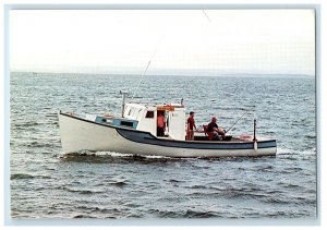 Fisherman's Searching Blue Finned Tuna Off Boat Nova Scotia Canada Postcard