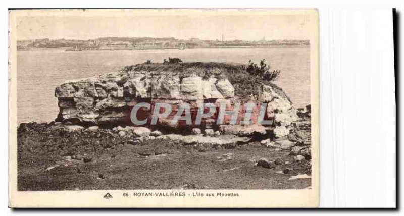 Old Postcard Royan Vallieres island seagulls