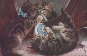The Morning Toilet Tucks Oilette Cat Kittens Rare Old Postcard