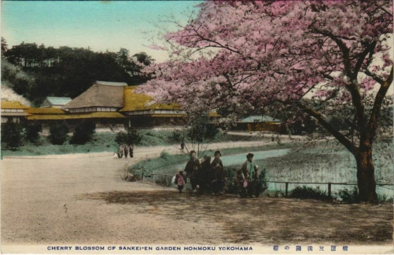 PC CPA YOKOHAMA cherry blossoming Sainkei-en garden honmoku JAPAN (a17711)