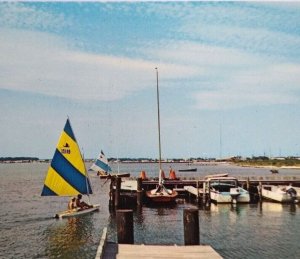 Rehoboth Beach Delaware Postcard Sail Boats Sailing On The Atlantic Ocean Unused