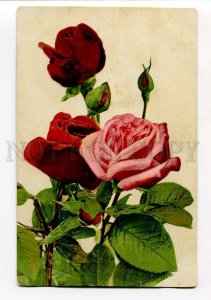 3025091 Beautiful ROSES FLOWERS Vintage color Photochromiec PC