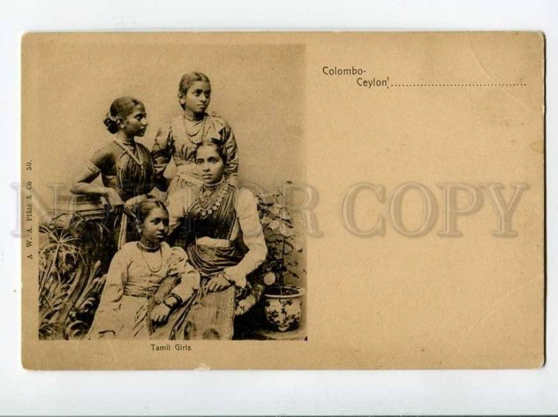 3037533 CEYLON Tamil Beauty Girls in native dress Vintage PC