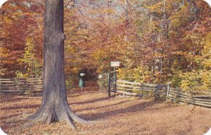 Palmyra NY, New York - Sacred Grove near Joseph Smith Farm
