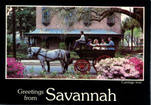 Greetings from Savannah GA, Georgia - Horse Drawn Tourist Carriage