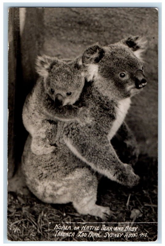 Koala & Cub Native Bear Taronga Zoo Park Sydney Australia CA RPPC Photo Postcard