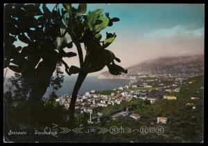 Sorrento Panorama