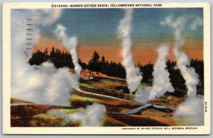 Vtg Wyoming WY Norris Geyser Basin Yellowstone National Park 1940s View Postcard