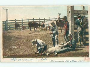 c1910 Western BRANDING COWS IN THE OLD WEST AC4311