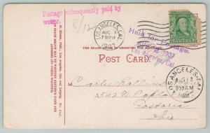 California~Above The Clouds~Vintage Postcard