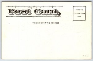 Comic Horse Race Pun~A Tip On The Derby~Building Brick Falls On Man's Hat~c1905