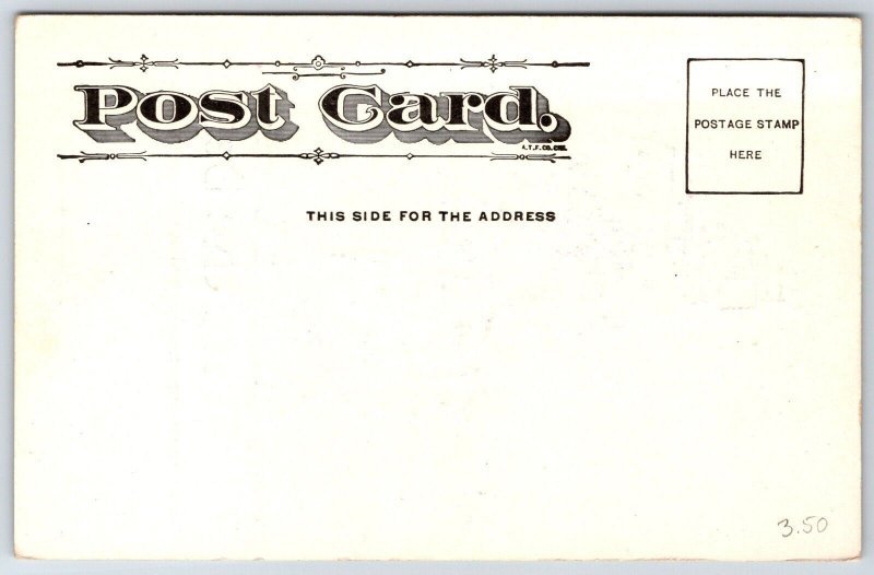 Comic Horse Race Pun~A Tip On The Derby~Building Brick Falls On Man's Hat~c1905