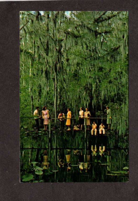 FL Little Charlie Bowlegs Creek Highlands Hammock State Park Sebring Florida PC