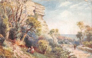 uk48165 undercliff ventnor isle of wight uk