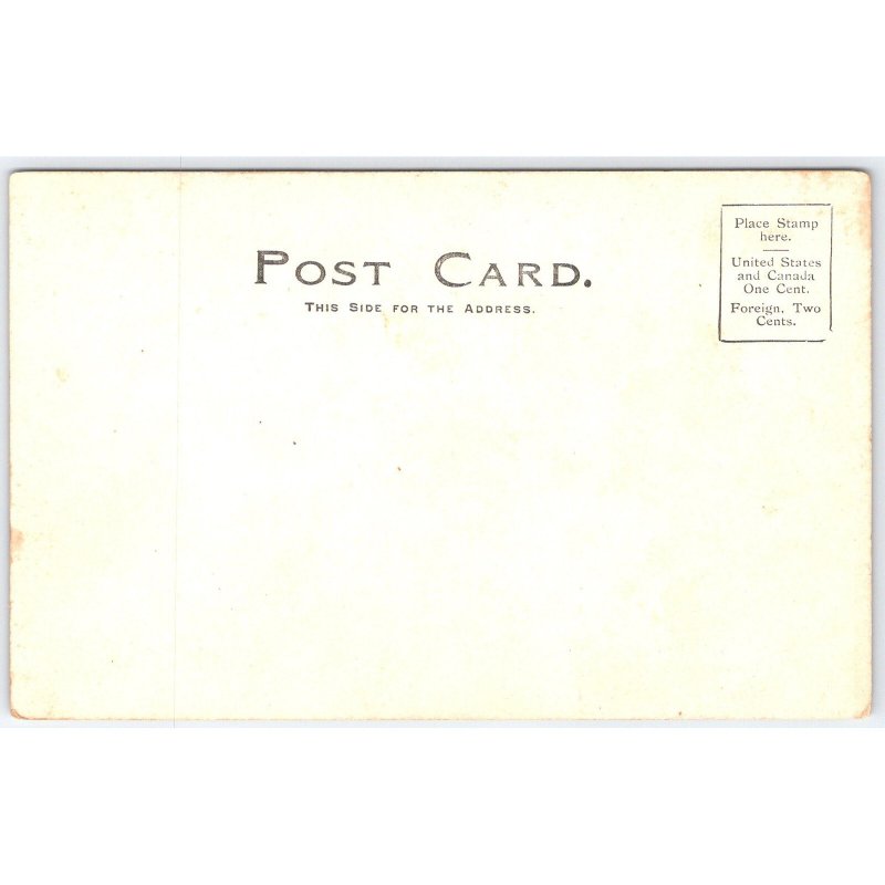 Postcard Mount Edith Banff Canadian Rockies Landscape