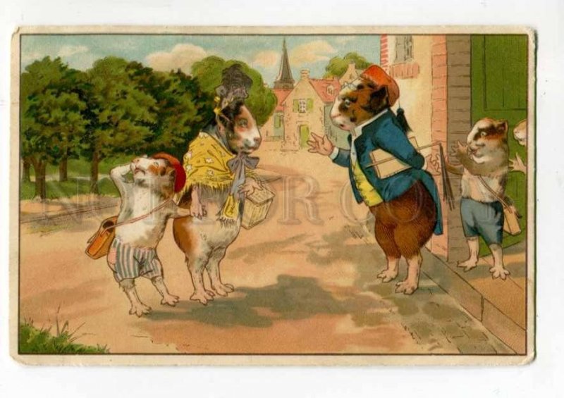 288373 Dressed GUINEA PIG School Vintage COMIC Fantasy PC