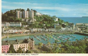 Devon Postcard - The Harbour and Vane Hill - Torquay - Ref TZ3365