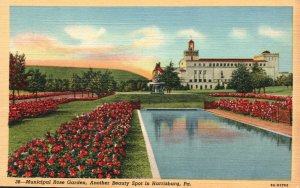 Vintage Postcard 1930's Municipal Rose Garden Beauty Spot in Harrisburg PA