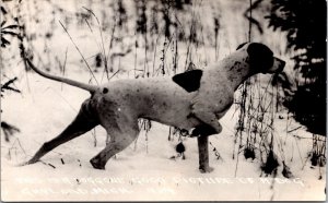 Real Photo Postcard Hunting Dog in the Snow in Gaylord, Michigan