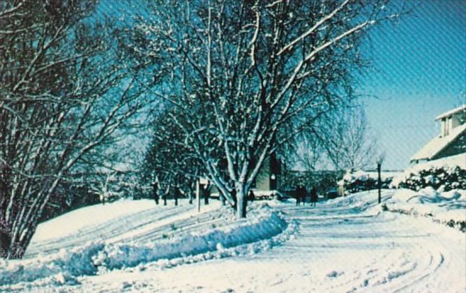 Canada Ontario Oshawa Kingsway College Campus Winter Scene