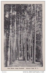 Pine Grove, Camp Rondack, Schroon Lake, New York,10-20s