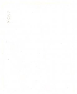 Woman Model,  Vintage Photo