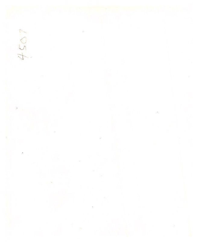 Woman Model,  Vintage Photo