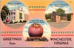 Sheridan and Washington's Headquarters Greetings From Winchester VA Postcard S59
