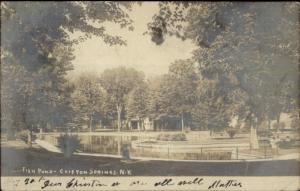 Clifton Springs NY Fish Pond c1910 Real Photo Postcard