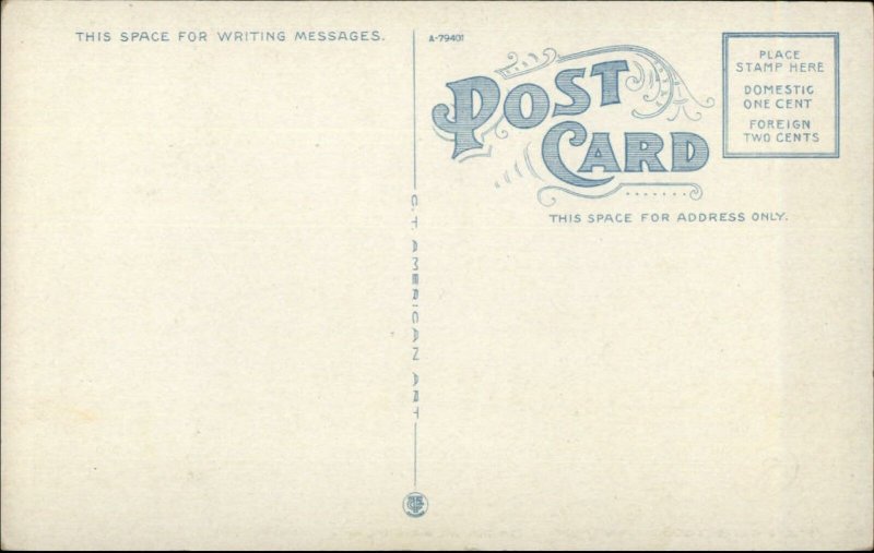 Watkins NY Franklin St. North From 4th St. c1920 Postcard