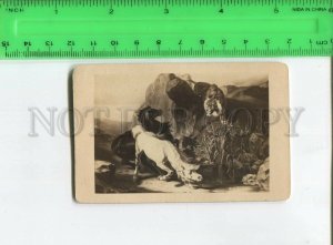 473999 Leullier Horses surprised by lion hunting Vintage CDV