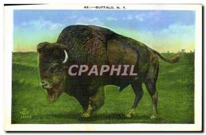 Old Postcard Buffalo New York