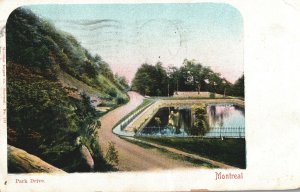 VINTAGE POSTCARD PARK DRIVE AND SURROUNDING HILLSIDE MONTREAL MAILED 1910