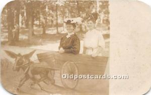Postcard Donkey Carriage Unused