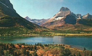 Vintage Postcard Many Glacier Area Glacier National Park Northwestern Montana