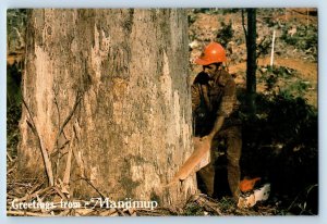 Western Australia Postcard Greetings from Manjimup Tree Felling c1960's