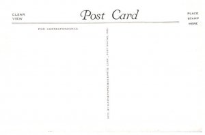 Harding Memorial Marion Ohio Postcard 